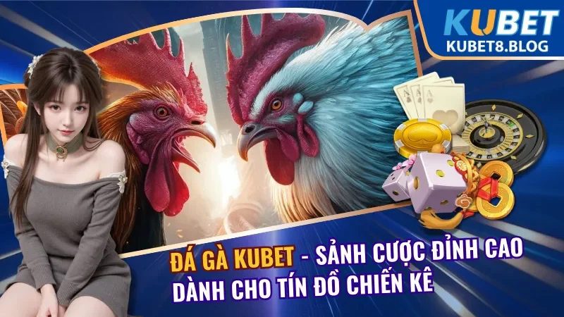 Đá Gà KUBET